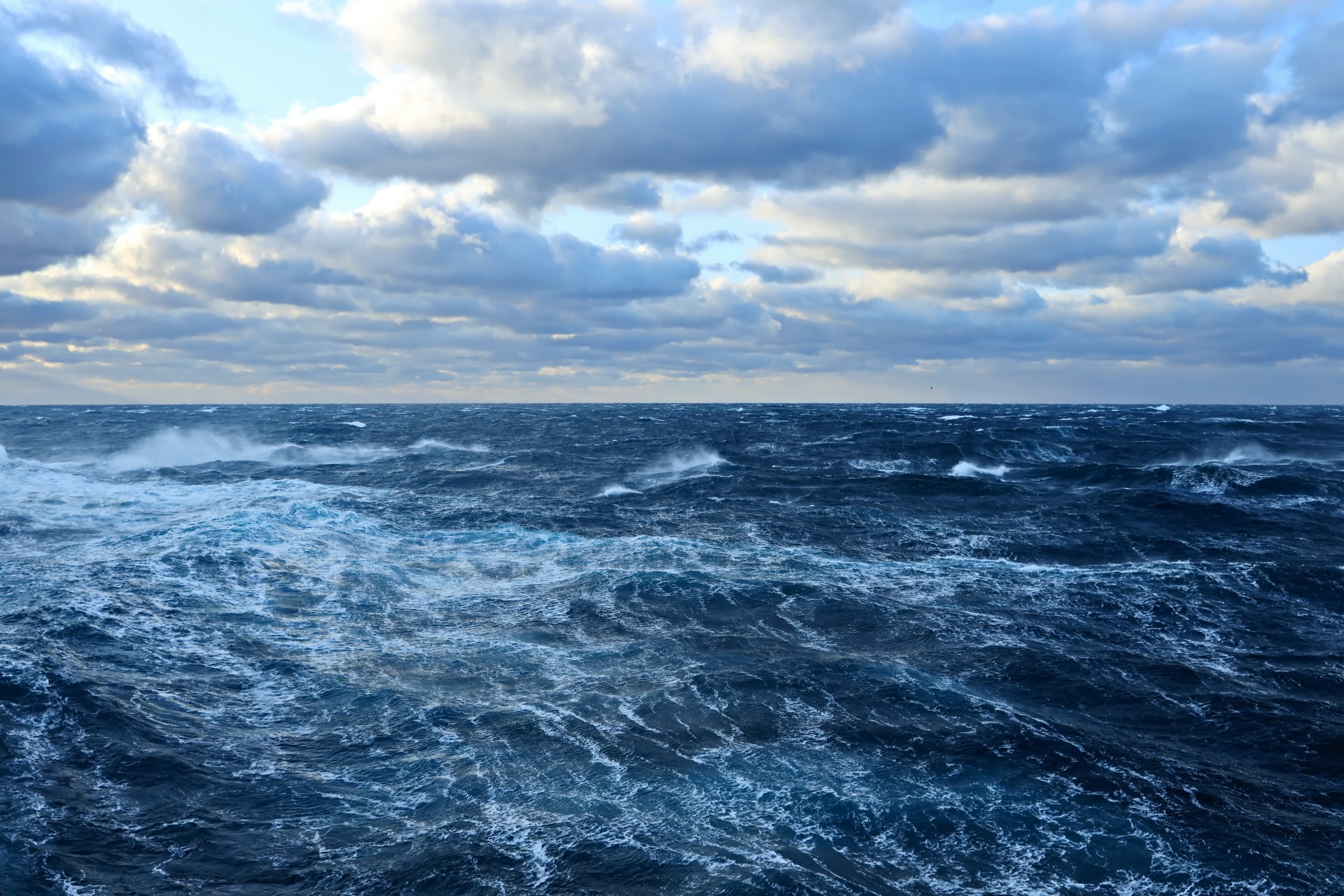 Hva finnes i ‘Hadal-sonen’, også kjent som ‘dødsstedet’ på jorden i det dypeste havet?