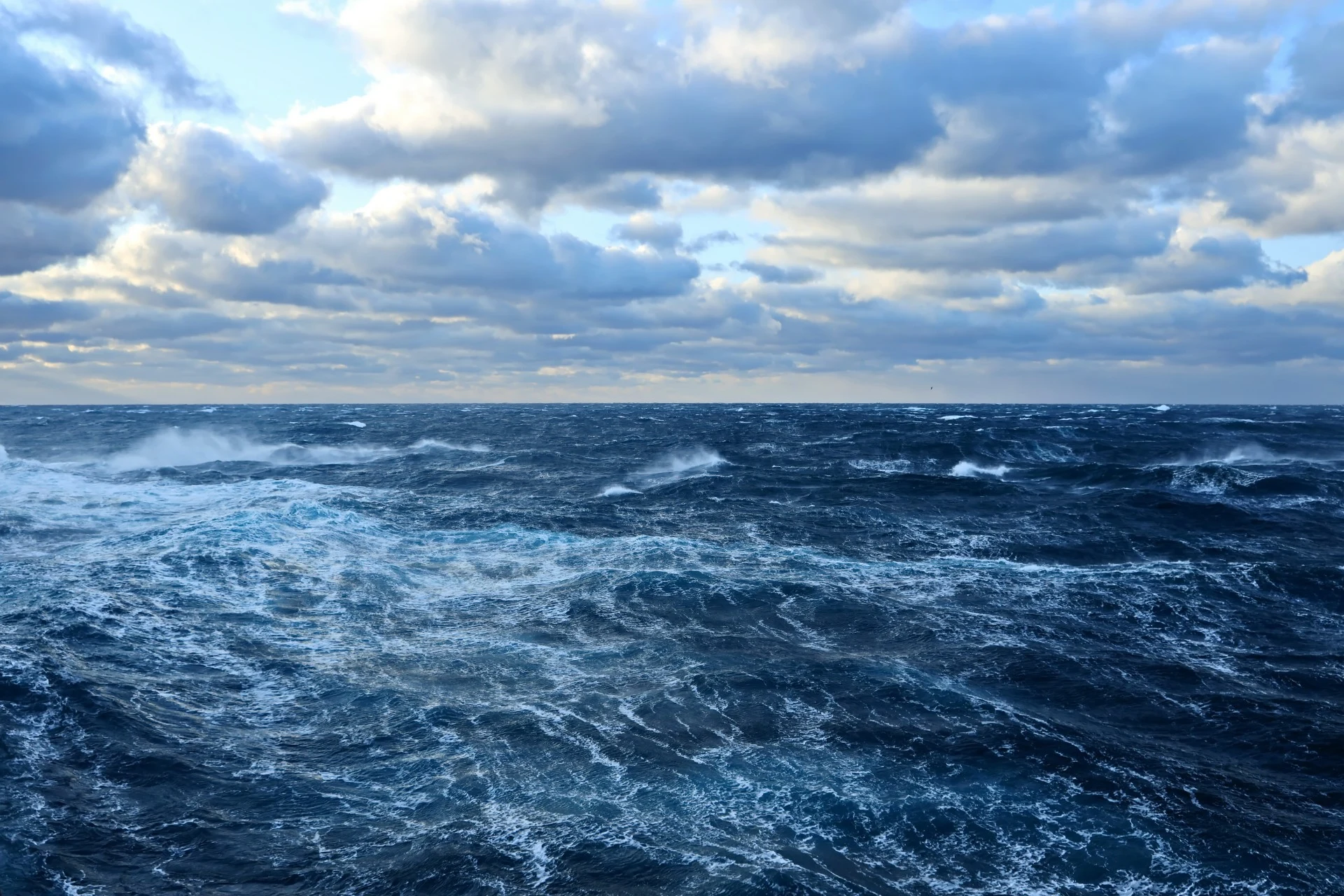 Hva finnes i ‘Hadal-sonen’, også kjent som ‘dødsstedet’ på jorden i det dypeste havet?
