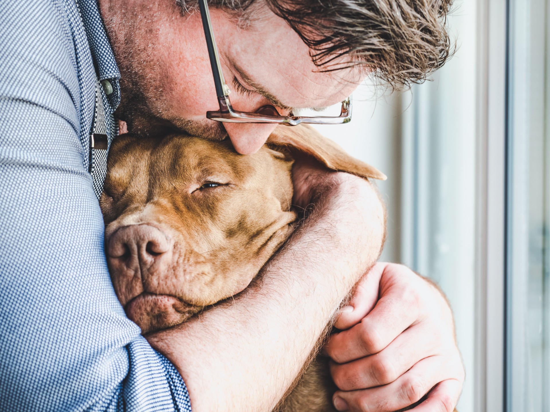 10 tegn på kreft hos hunder – Når bør hunden din undersøkes?
