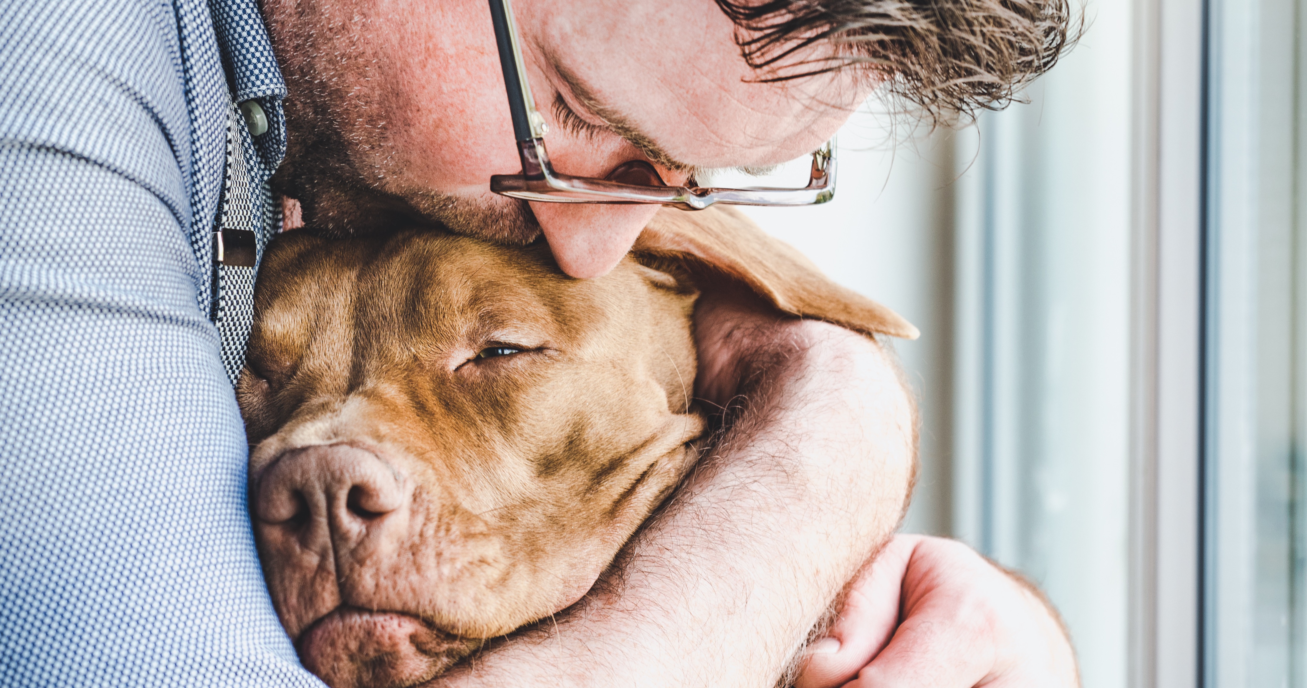 Veterinær med hjerteskjærende bønn: ALDRI gjør dette når vi avliver hunden din