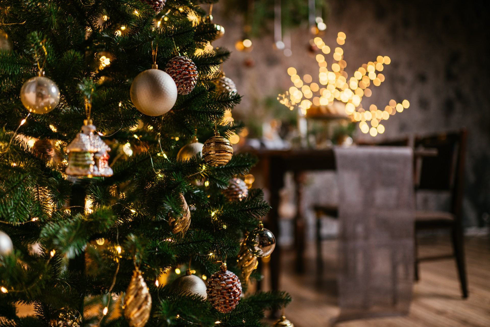 Advarer etter sjokkerende funn i juletre