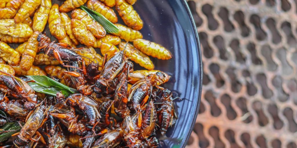 Barneskolebarn spiser insekter i nytt eksperiment på alternative proteinkilder