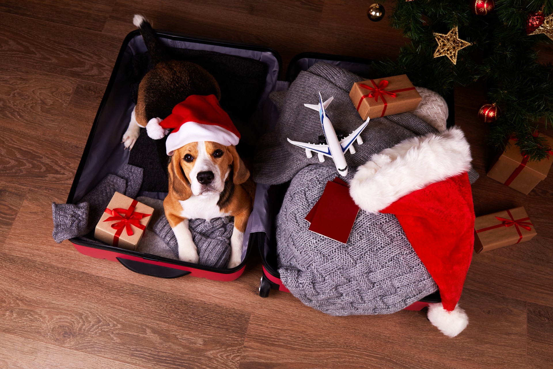 Snart for sent å bestille billett hjem til jul