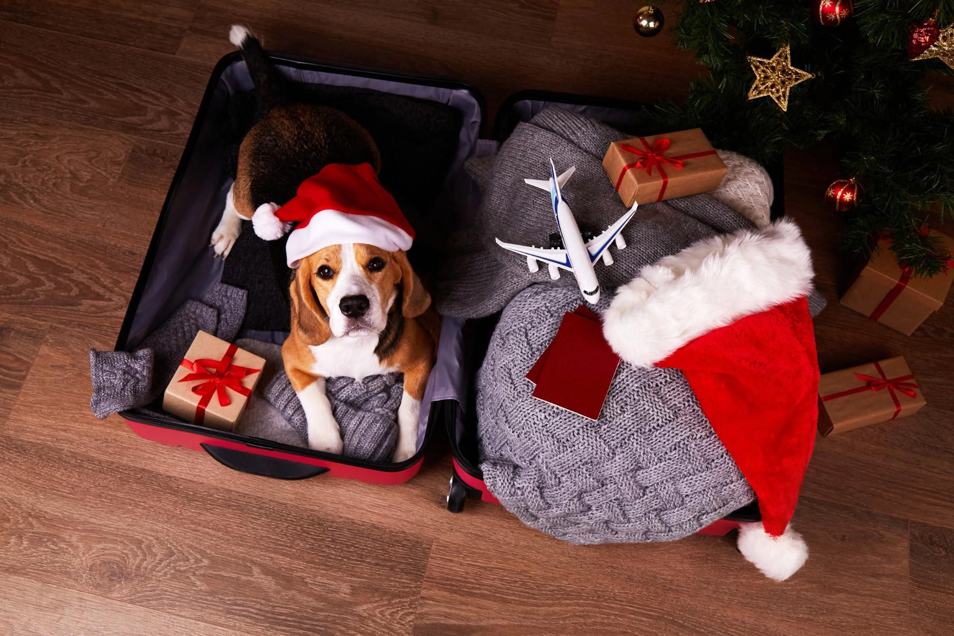 Snart for sent å bestille billett hjem til jul