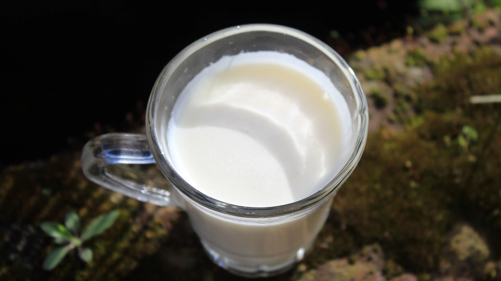 Hjemmelaget yoghurt: Enklere enn du tror – og lang holdbarhet!