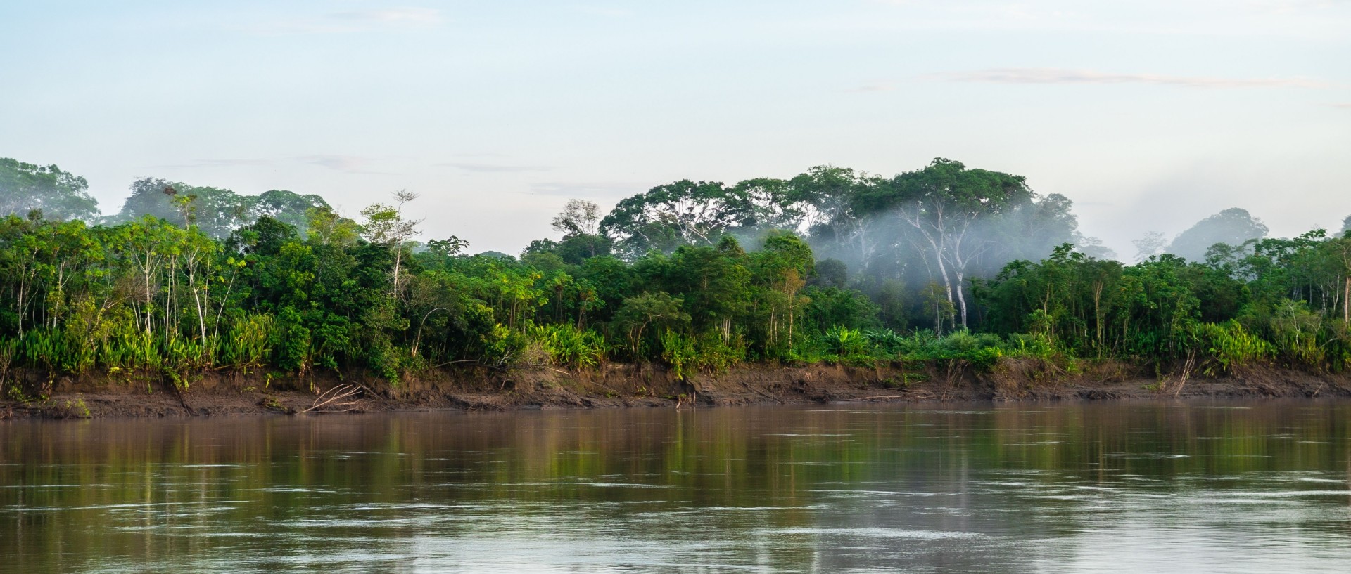 4 barn er forsvunnet i Amazonas etter en flyulykke