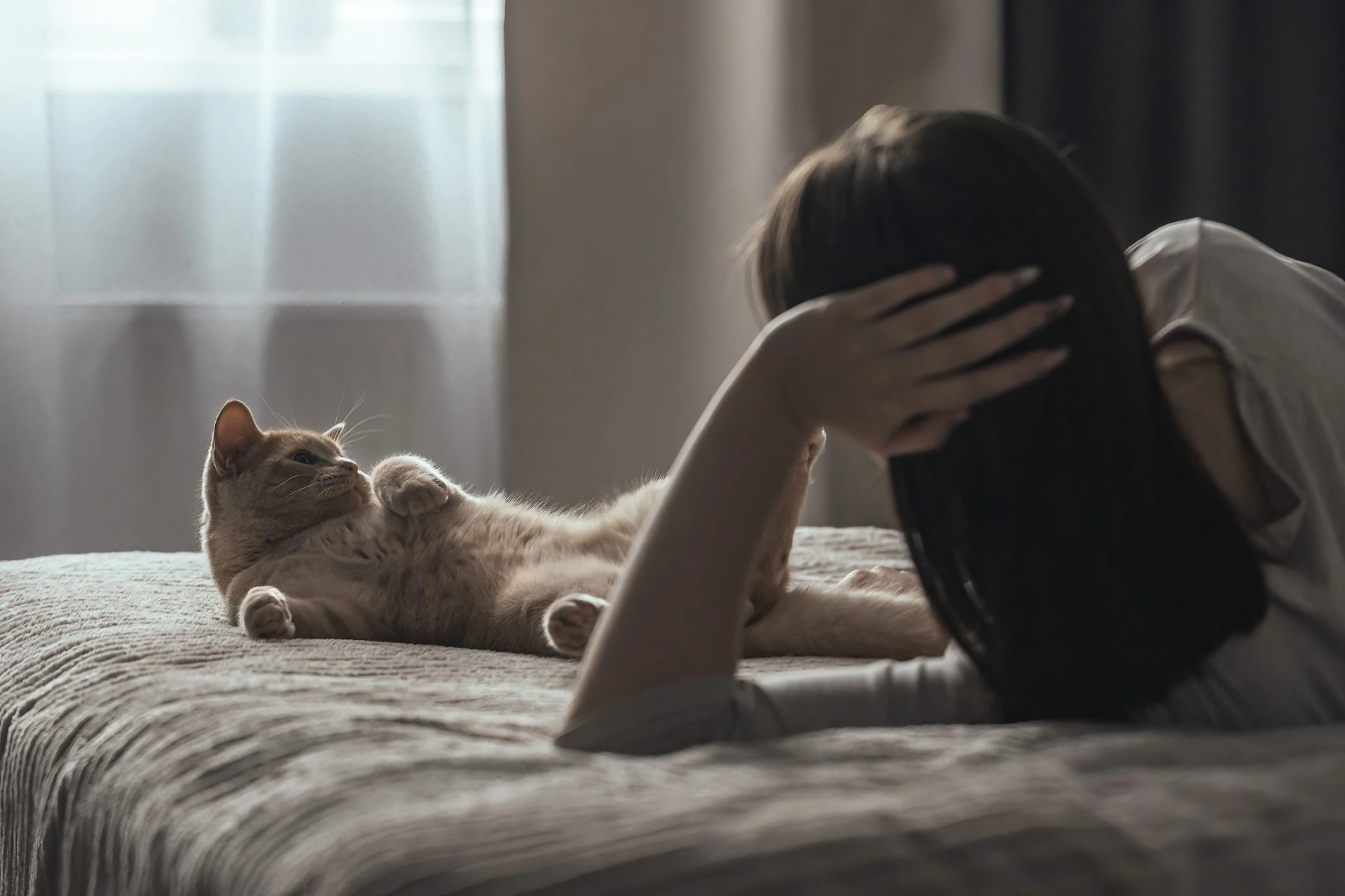 Dette er grunnen til at katten din vekker deg klokken 03 på natta