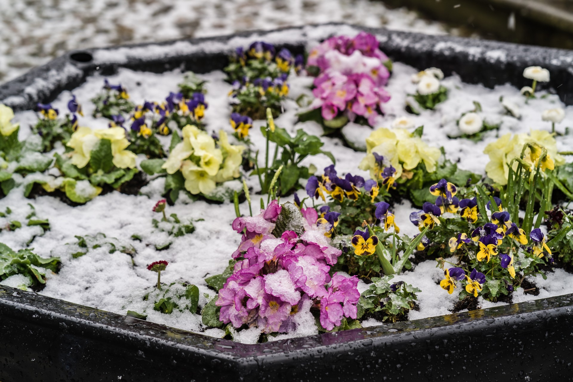 Ti gode tips for hagen i februar