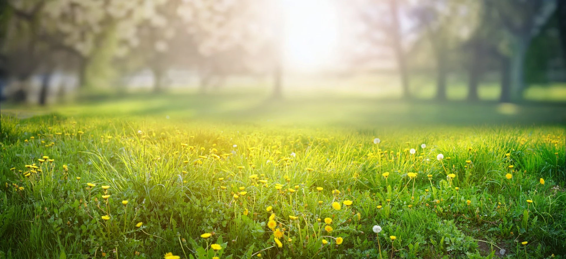 Smak av vår og tidlig sommer i vente