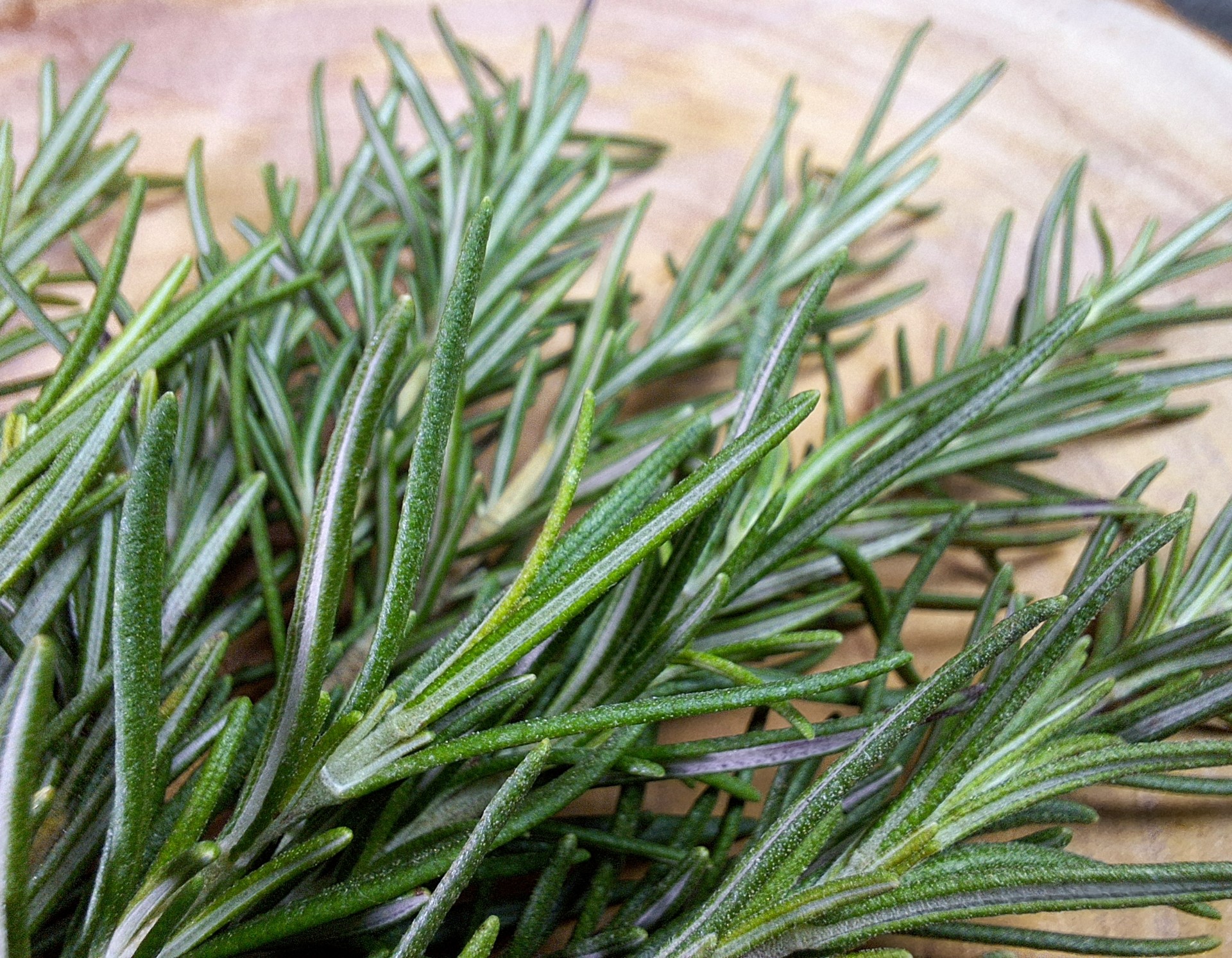 Harvard psykiatere: Denne urten forbedrer hukommelse og reduserer stress