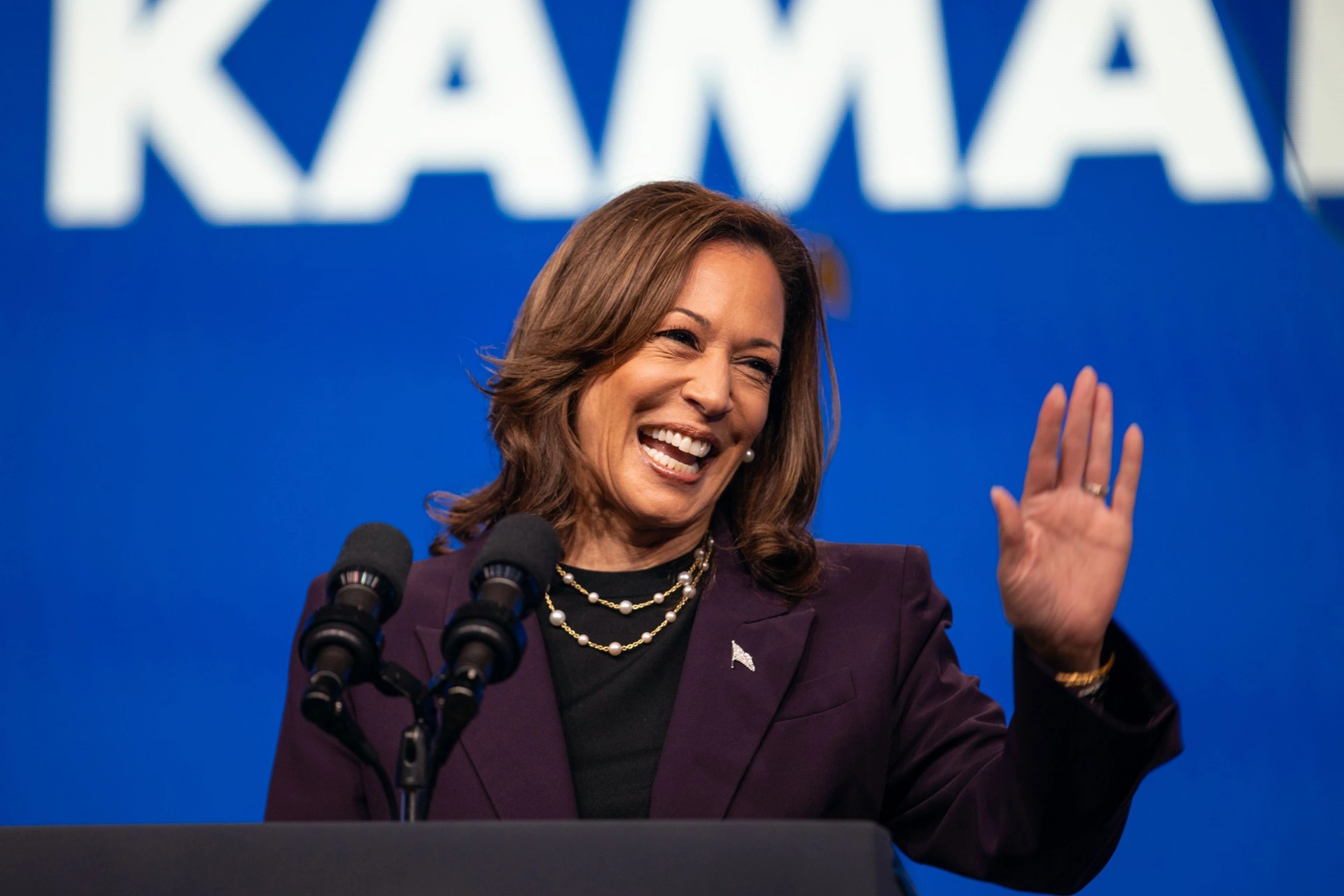 Kamala Harris møter visepresidentkandidater i dag
