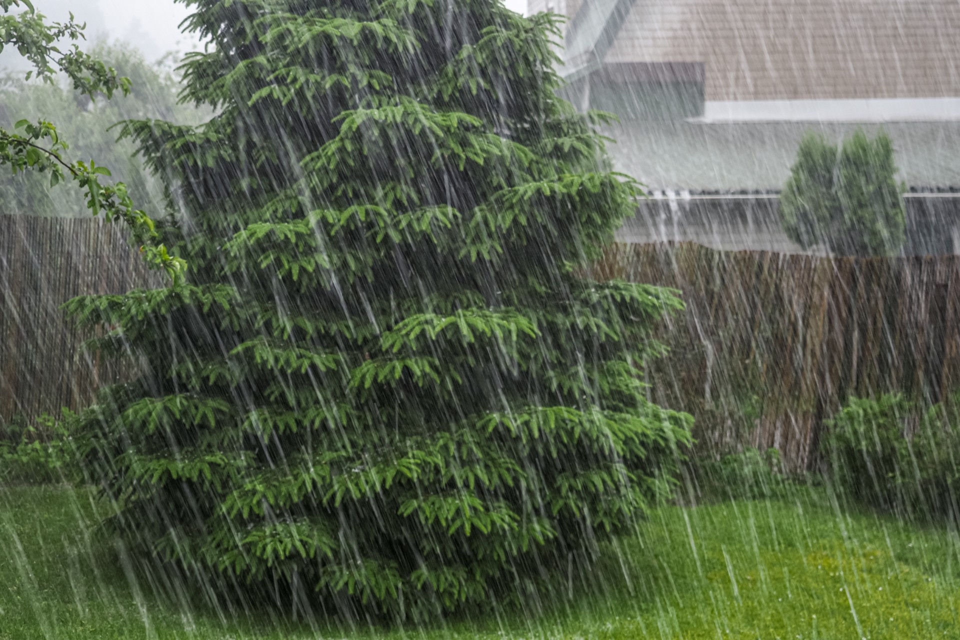 Været den neste uka: Regn, regn, regn, men her kommer det snø