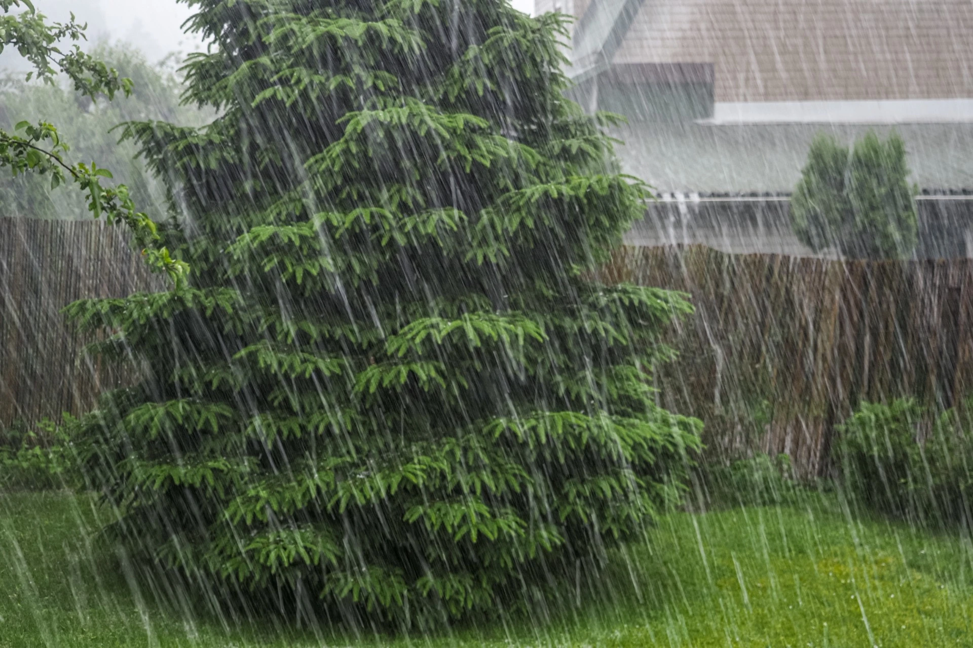 Været den neste uka: Regn, regn, regn, men her kommer det snø