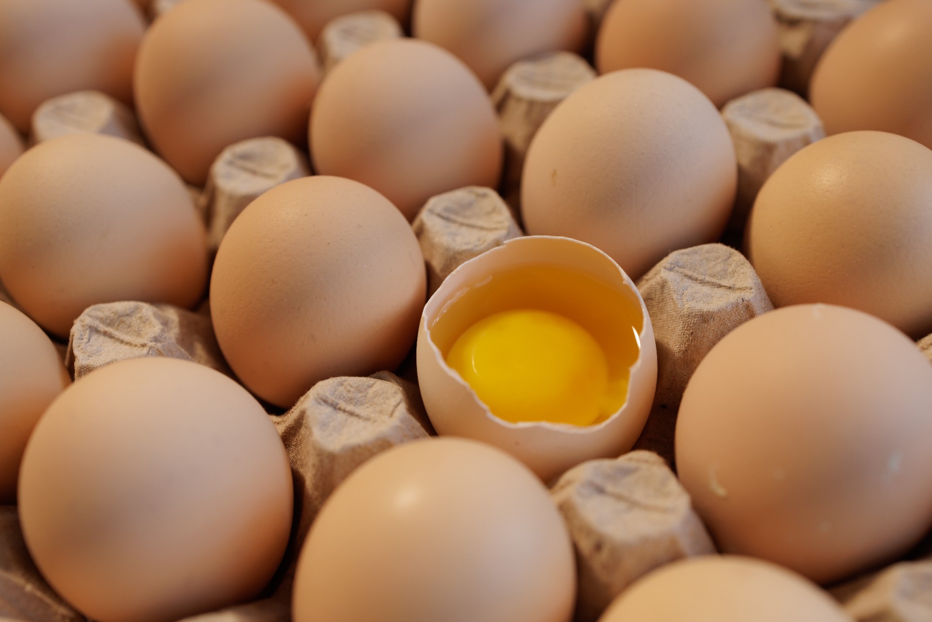 Rema og Norgesgruppen frykter ny egg-krise før jul