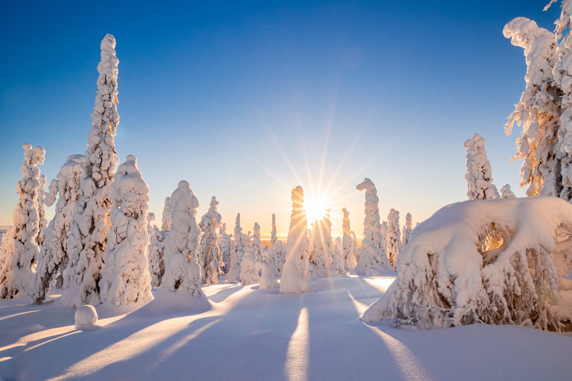 Kvinne flytter til Lappland i fire måneder i julen – men hater én ting