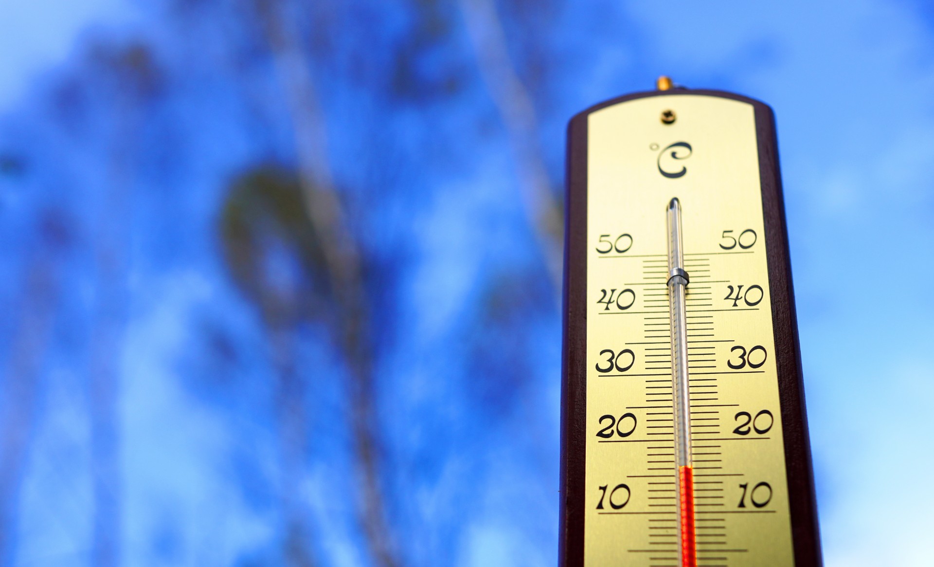 Dette uvanlige værfenomenet kan gi oss 19 grader i januar