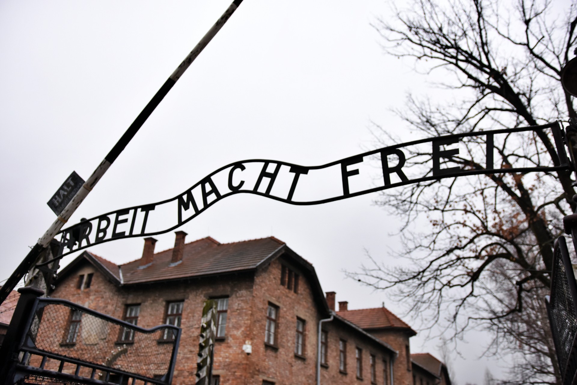 De mest hårreisende uttalelser om Holocaust fra kjente mennesker: Du vil ikke tro dine egne ører