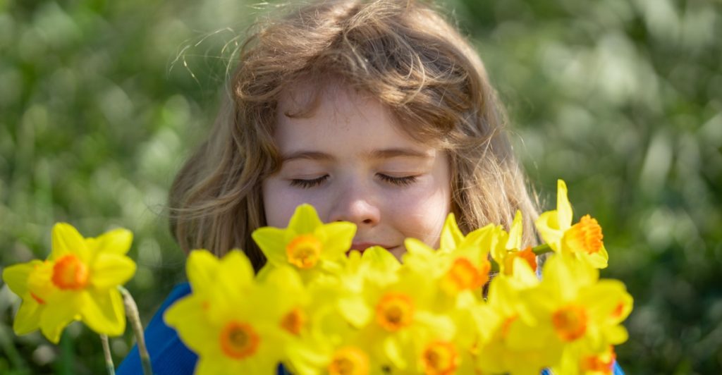 Vårblomster du bør passe deg for – kan være farlige for barn og kjæledyr