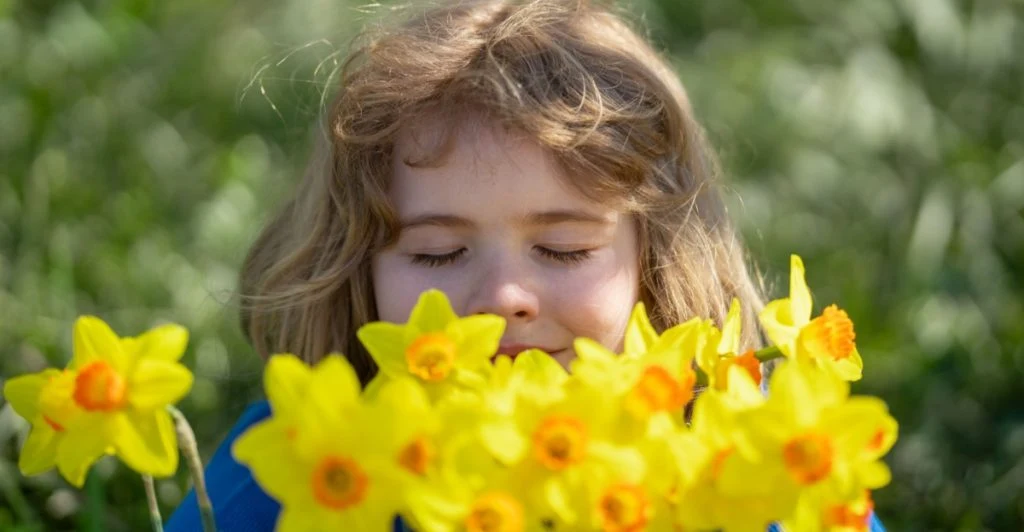 Vårblomster du bør passe deg for – kan være farlige for barn og kjæledyr