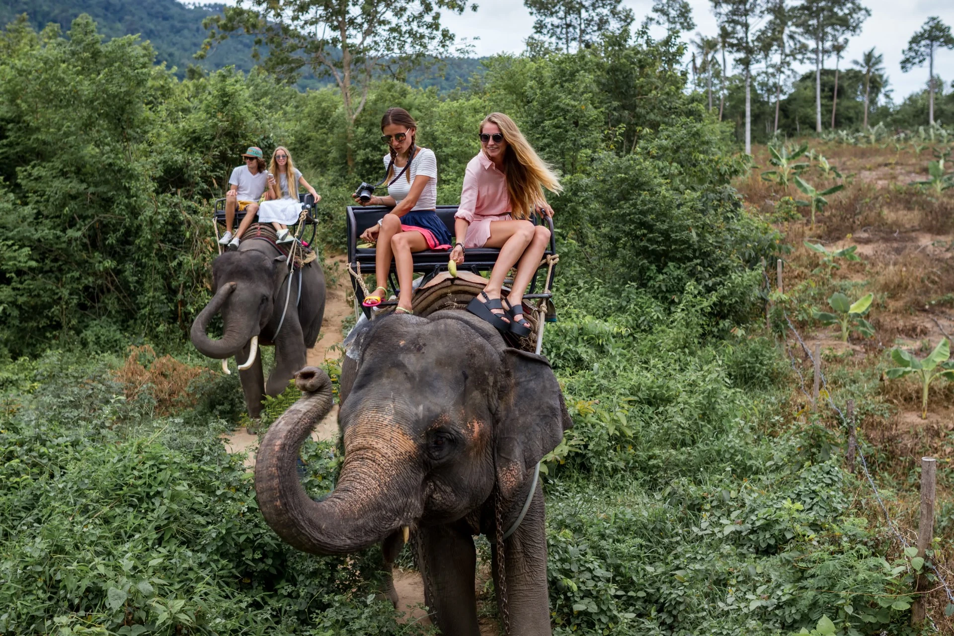 Ung turist døde på ferie i Thailand etter møte med elefant