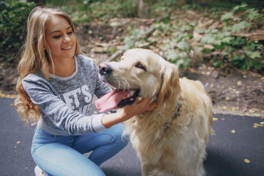 Forskere: Derfor er det smart å snakke hundespråk med hunden sin