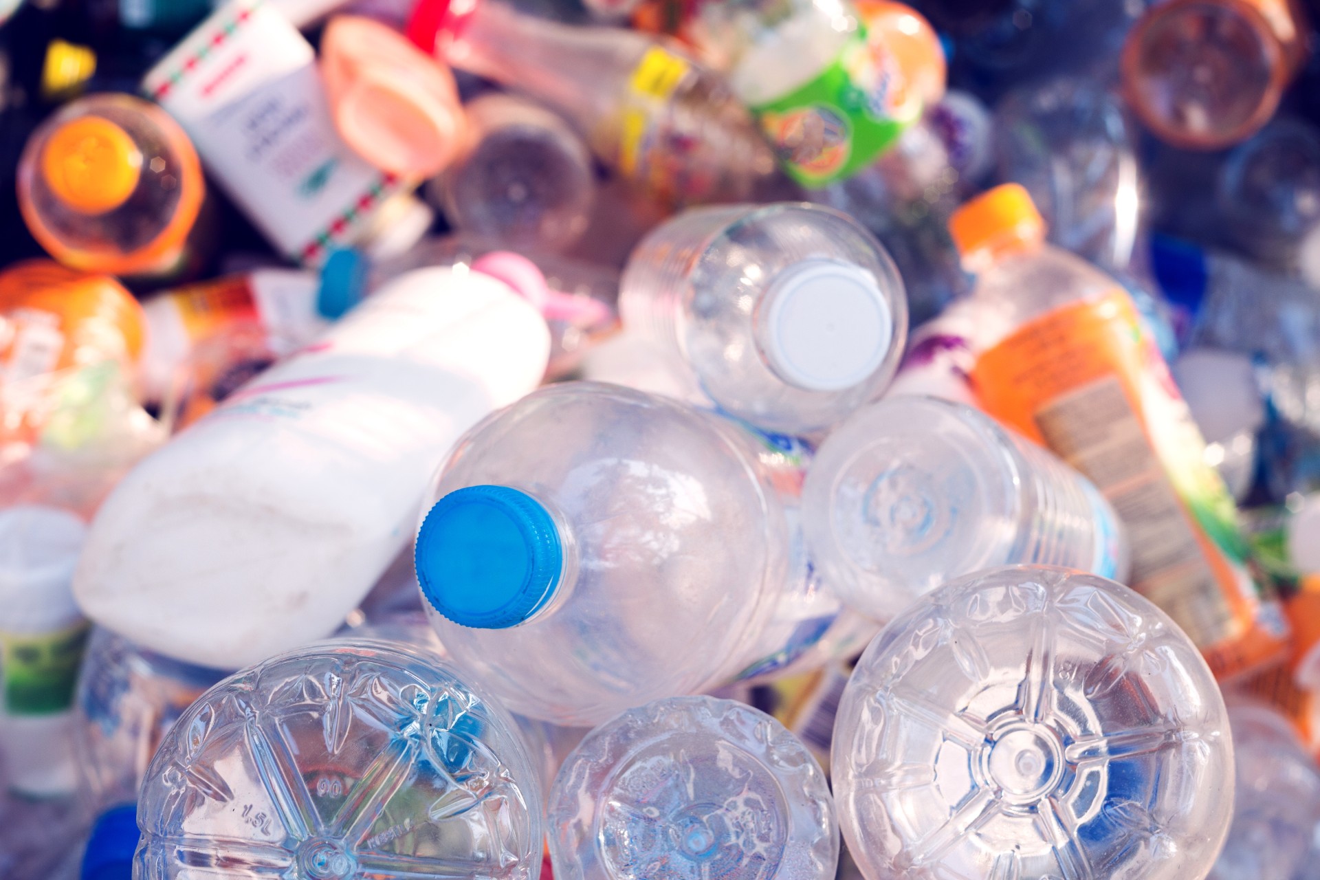 Ny forskning: Sjokkfunn i plast