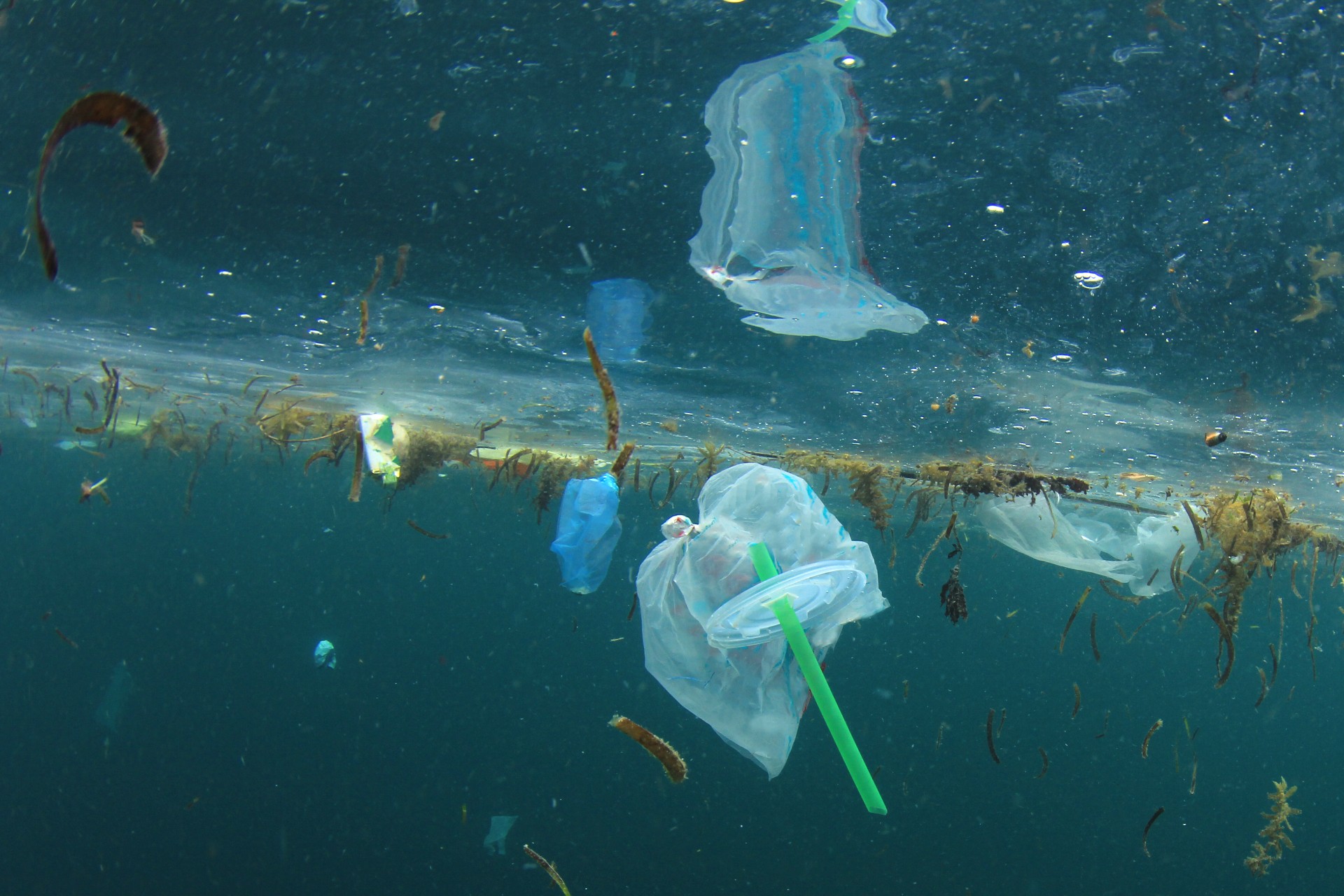 President Trump: «Back to plastic»