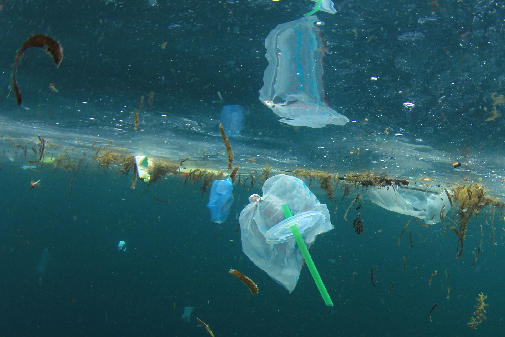 President Trump: &laquo;Back to plastic&raquo;