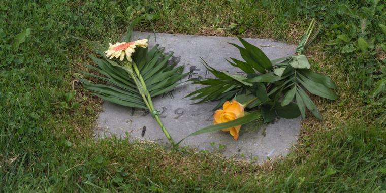 Ann undret seg over de friske blomstene ved brorens grav: 70 år senere gikk sannheten opp for henne