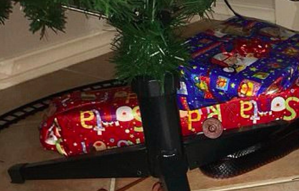 Johns kone oppdaget noe under juletreet: Ble sjokkerte da de så hva det var