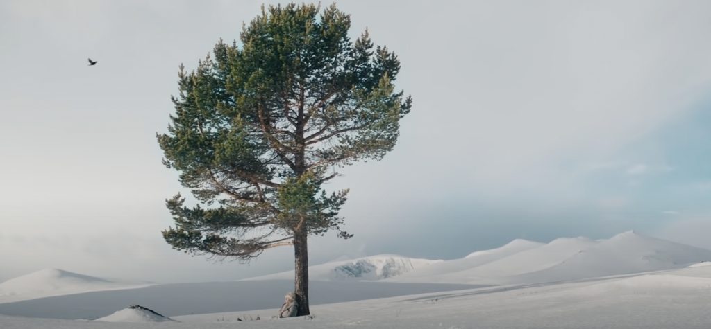 Nå er den her: Skal du se den?