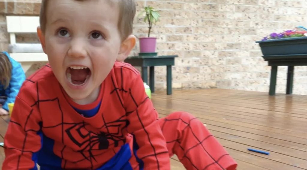 Nye spor i etterforskningen om William Tyrrell: Er dette hans Spiderman-kostyme?