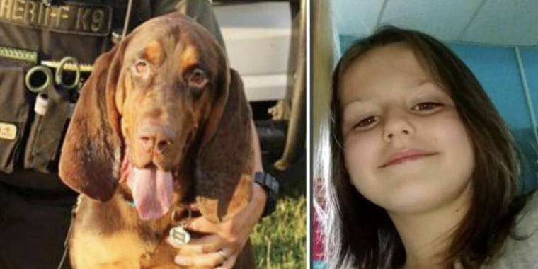 Heroisk politihund finner savnet 6-åring