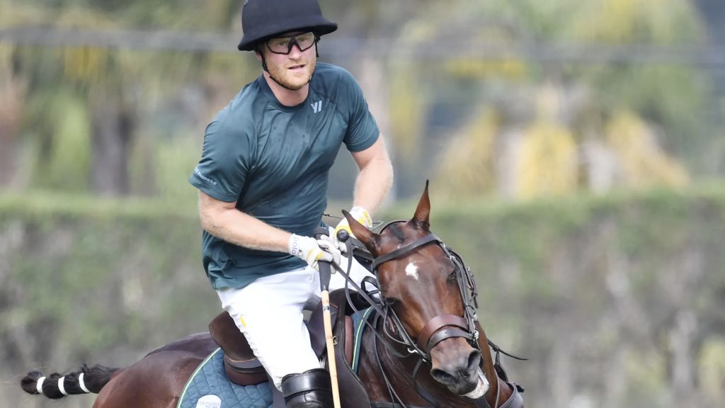 Prins Harry i ulykke