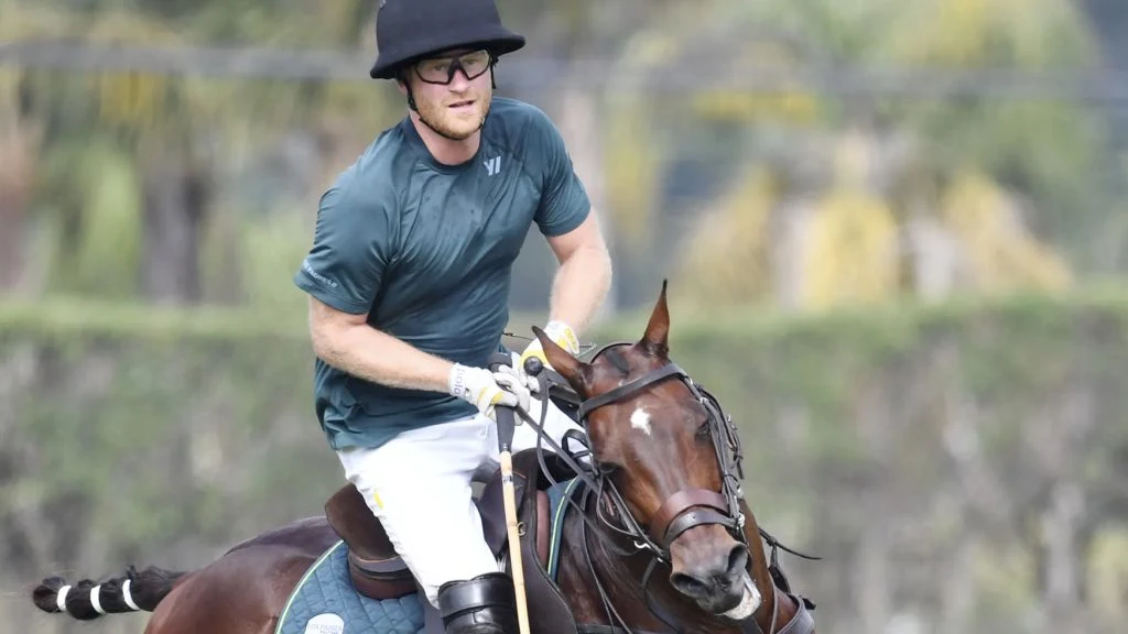 Prins Harry i ulykke