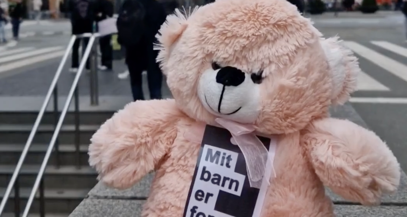 Bamsedemo: Har du undret deg?