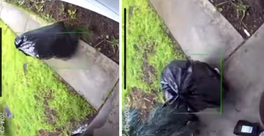 Se videoen: Kledde seg ut som søppelsekk: Og gjorde noe ingen kan gjette