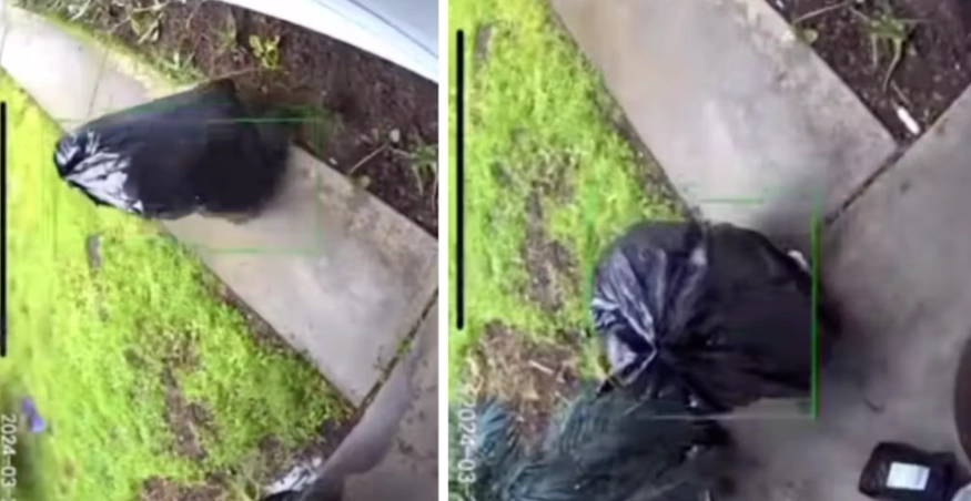 Se videoen: Kledde seg ut som søppelsekk: Og gjorde noe ingen kan gjette