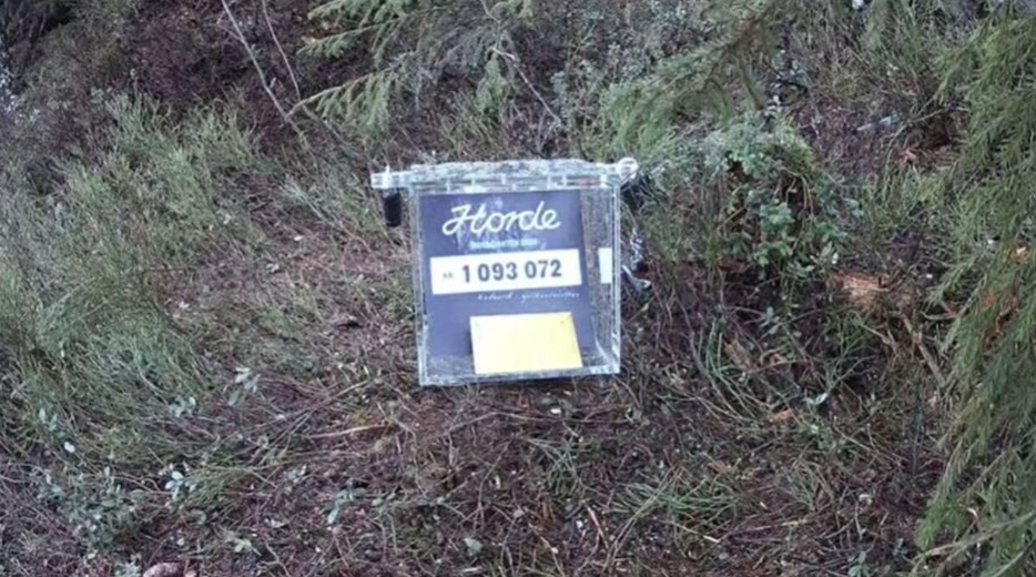 Ny vill skattejakt: Har nok en gang gjemt en million i norsk skog