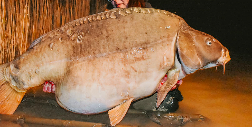En vakker fisker fanget en gigantisk karpe på over 30 kilo. Bildet med fisken har blitt en hit