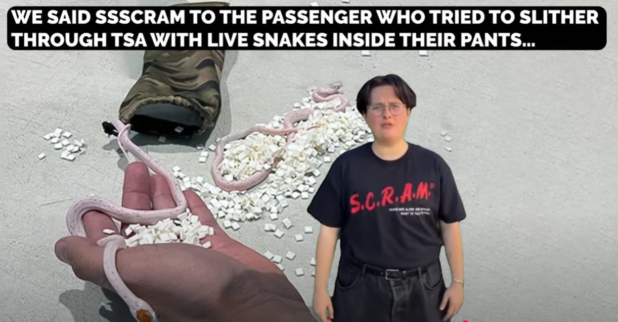 De ti villeste beslag i amerikanske sikkerhetskontroller – med video