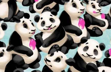 Dagens hjernetrim: Har du skarpt blikk? Finn pingvinen blant pandaene på 7 sekunder!