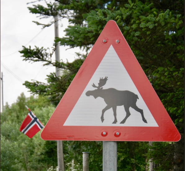 Roper varsko: Tar ikke skiltene på alvor