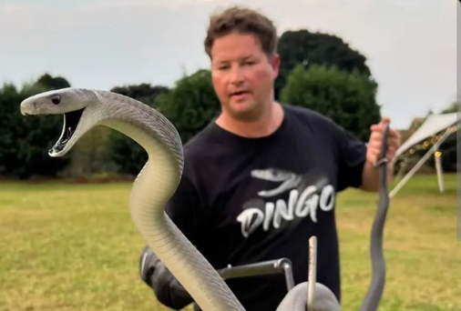 Kjent YouTuber død etter slangebitt