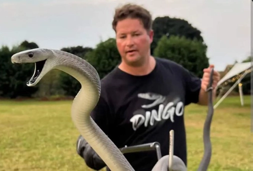 Kjent YouTuber død etter slangebitt