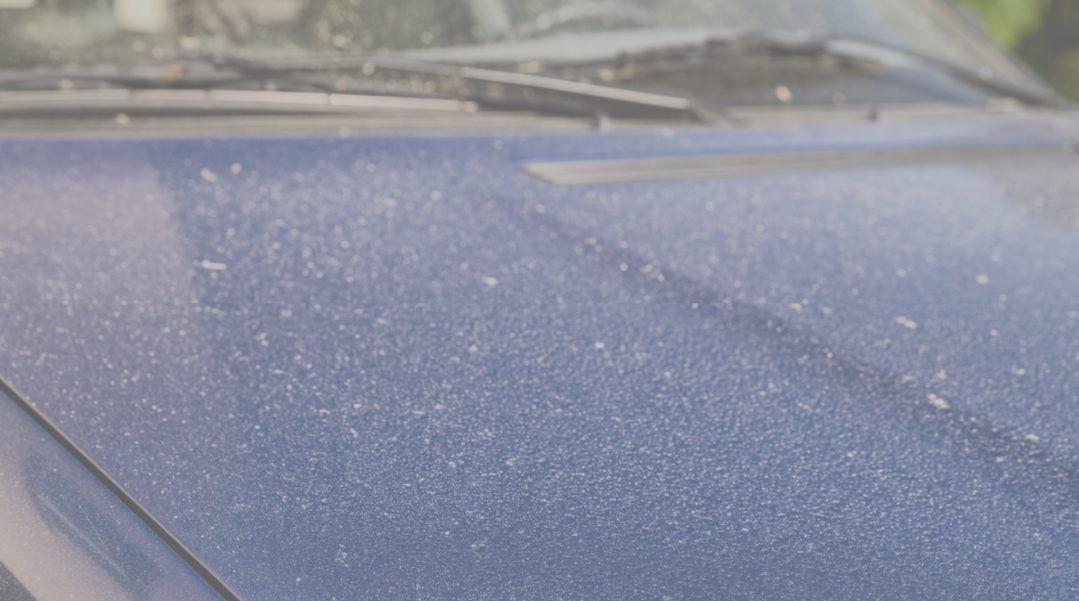 Pollen på bilen? Dette må du aldri finne på å gjøre