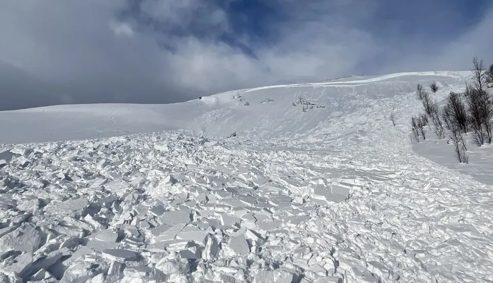 Snøskredet i Lyngen: Skal ikke være mulig – Reddet av Whiskey