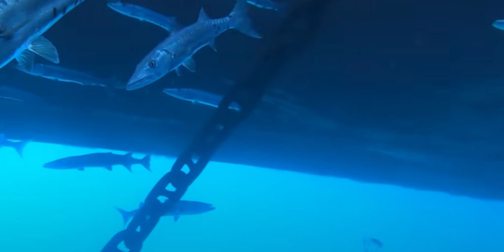 Mann mister GoPro i havet – videoen får nettet til å skjelve