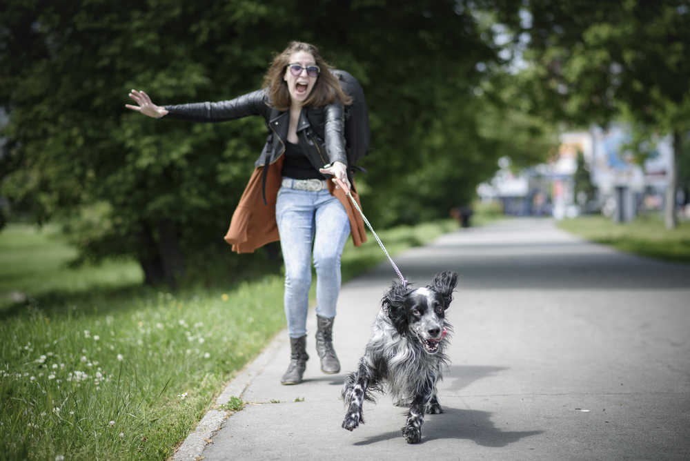 Sliter du med en distrahert hund? Ekspertenes metode går viralt