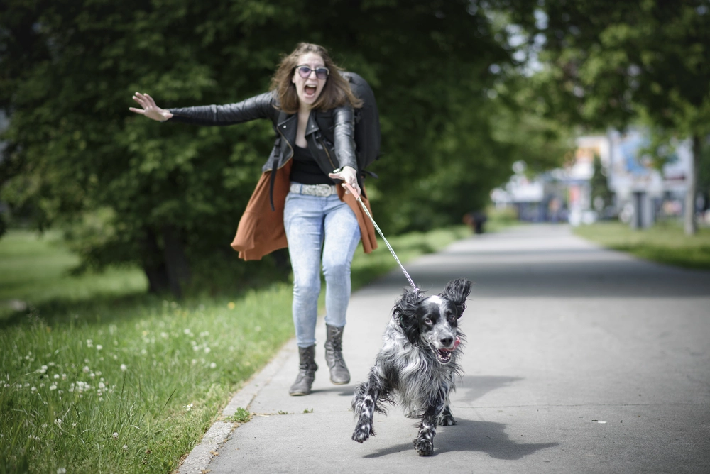 Sliter du med en distrahert hund? Ekspertenes metode går viralt